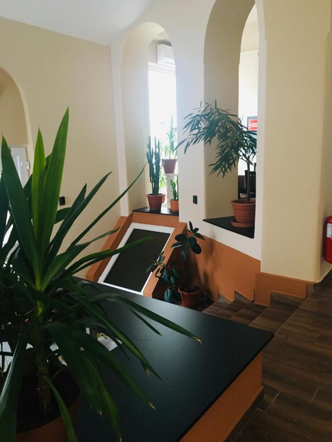 Megyehaz Apartman Makó Exteriér fotografie