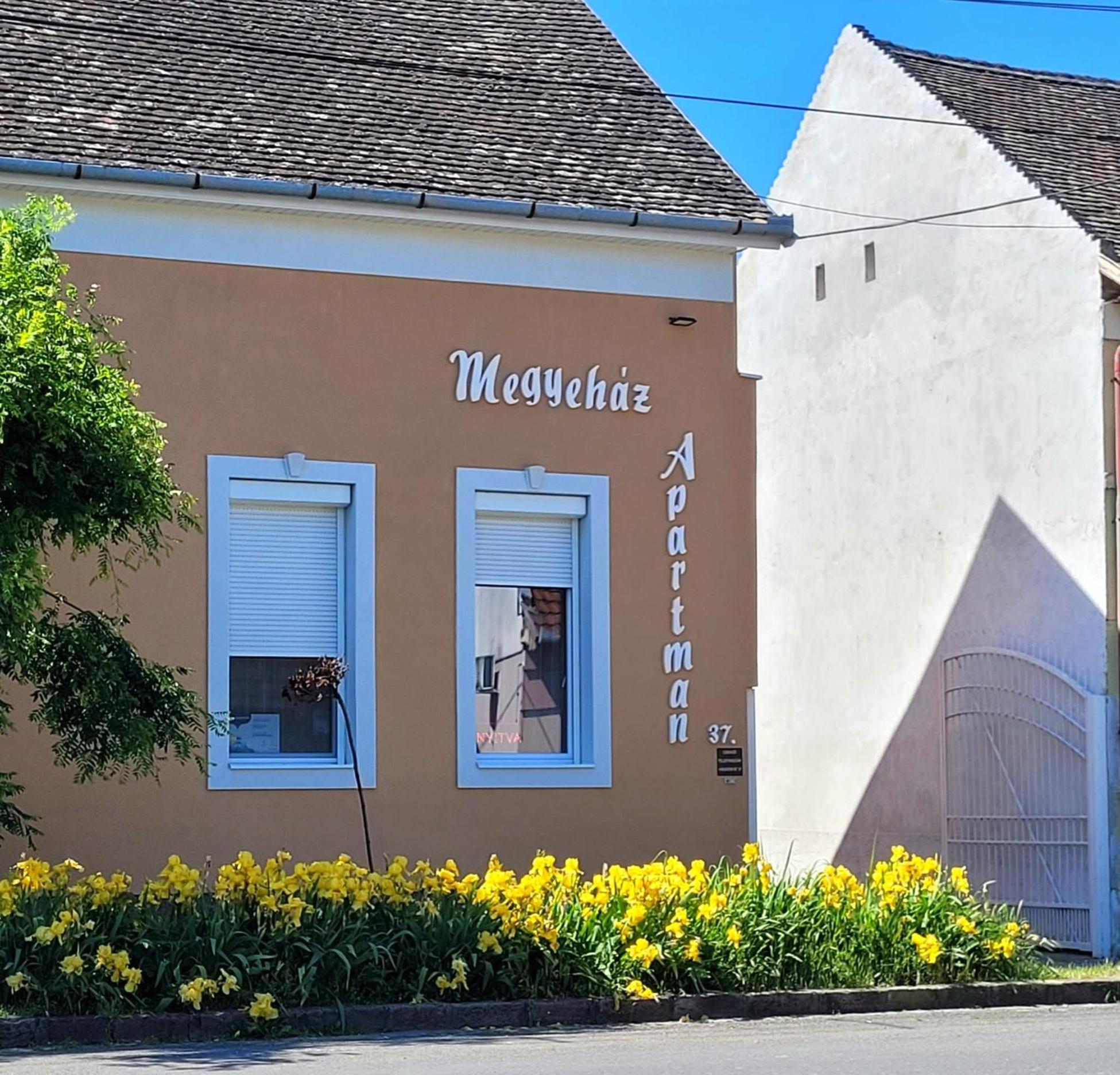 Megyehaz Apartman Makó Exteriér fotografie